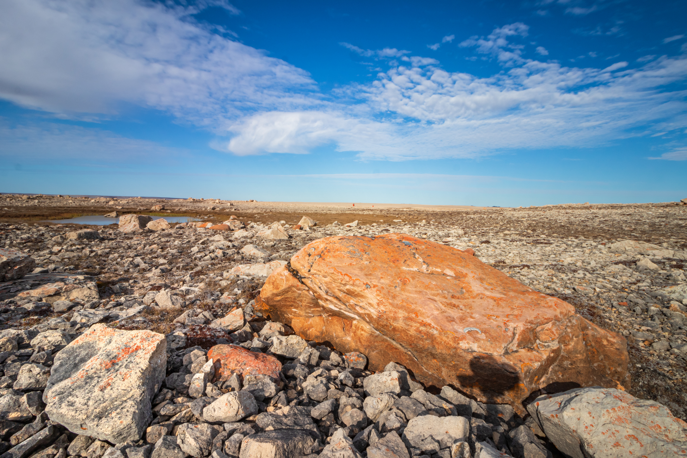 387 victoria island, nunavut.webp